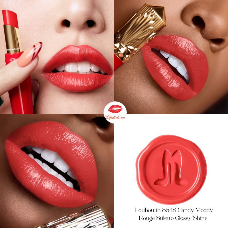 louboutin-854S